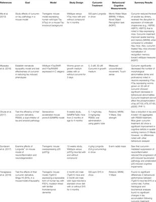 Curcumin as a Holistic Treatment for Tau Pathology